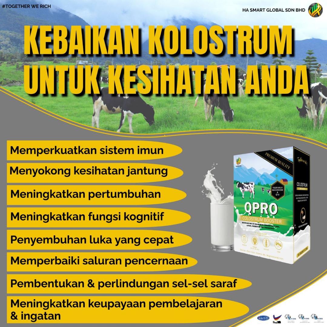 WhatsApp Image 2024-06-30 at 5.00.00 PM (3)